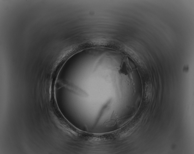 X0000095690494200801151152