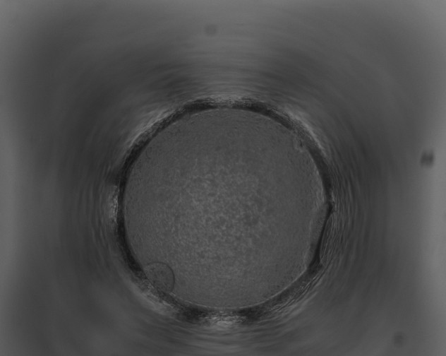 X0000095690495200801151152