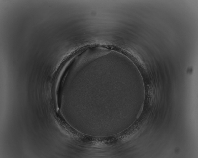 X0000095690496200801151152