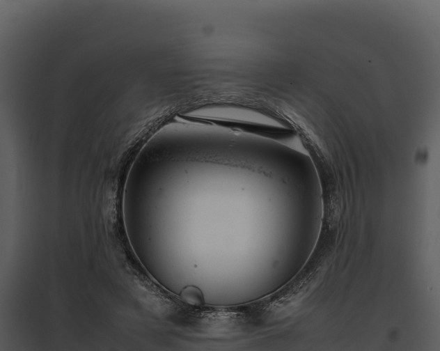 X0000095690497200801151152