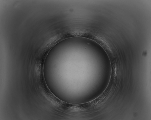 X0000095690498200801151152