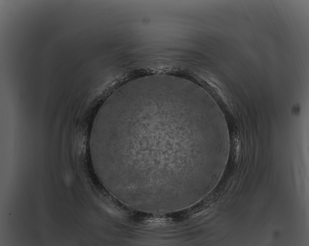 X0000095690499200801151151