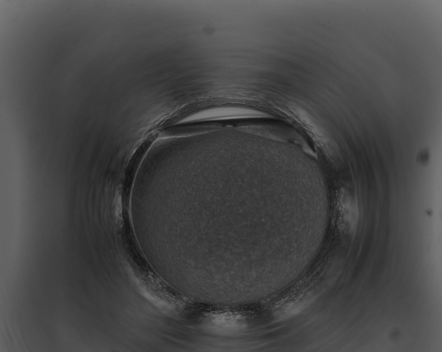 X0000095690500200801151151