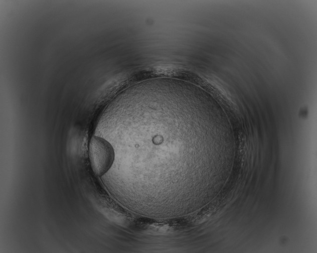 X0000095690502200801151151