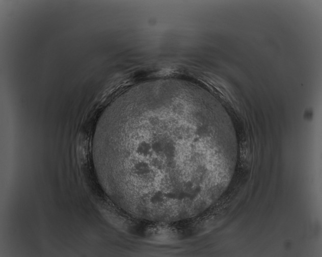 X0000095690503200801151151