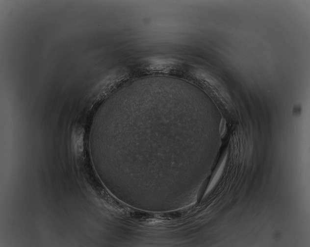 X0000095690504200801151151