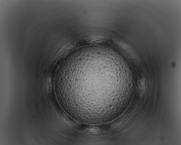 X0000095690506200801151151