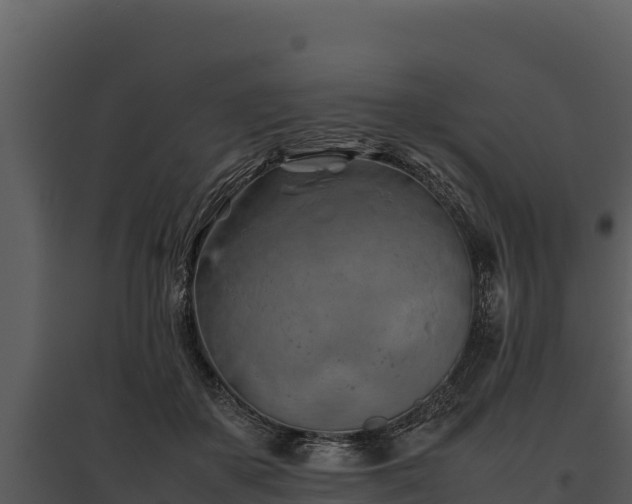 X0000095690507200801151151