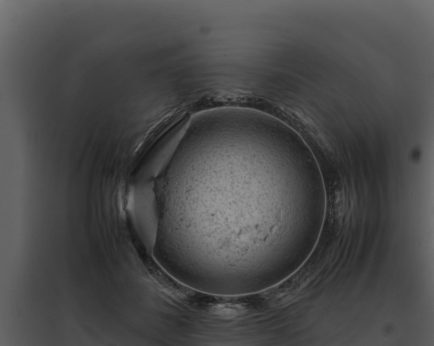 X0000095690508200801151151