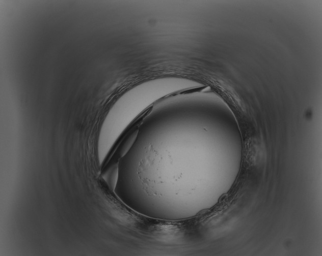 X0000095690509200801151151