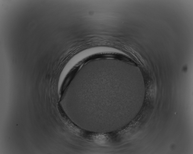 X0000095690513200801151151