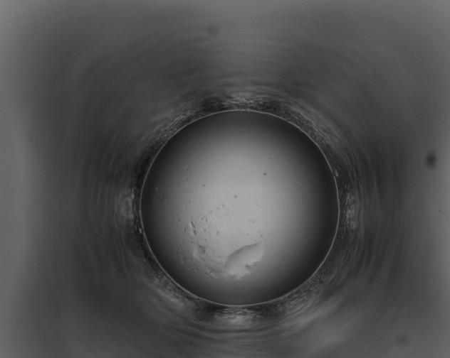 X0000095690514200801151151