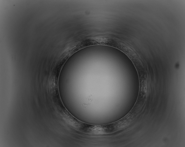 X0000095690518200801151151