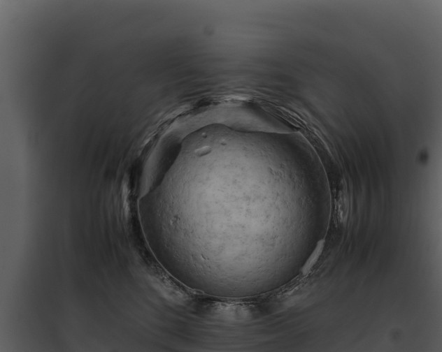 X0000095690520200801151151