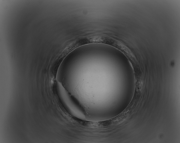 X0000095690521200801151151