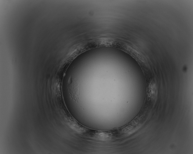 X0000095690522200801151151