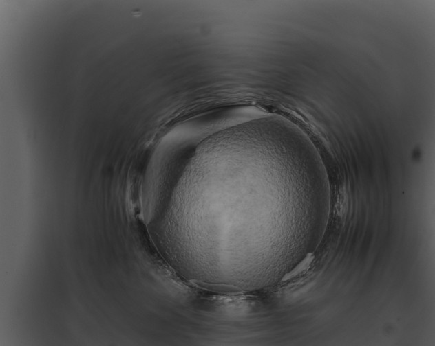 X0000095690524200801151151