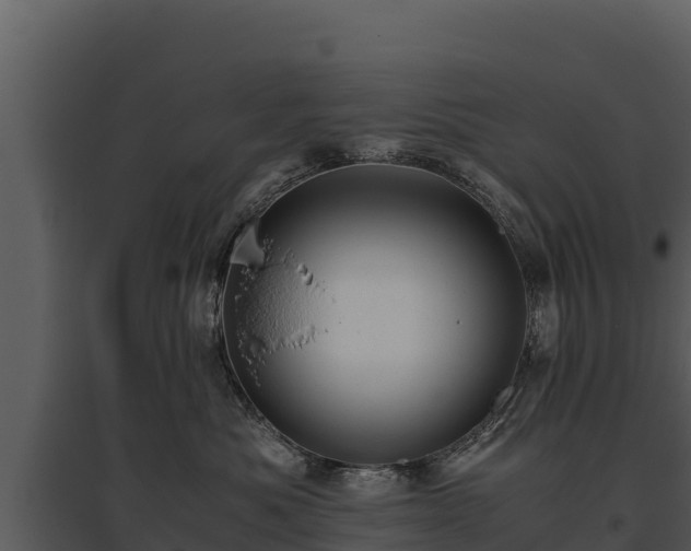 X0000095690525200801151151