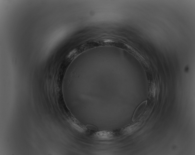 X0000095690526200801151151