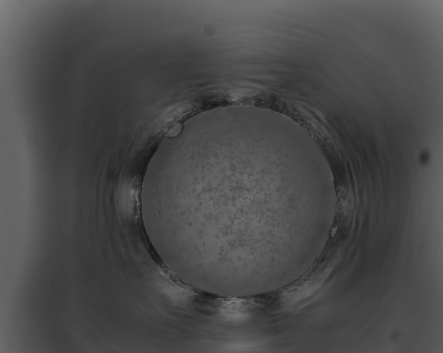 X0000095690527200801151151