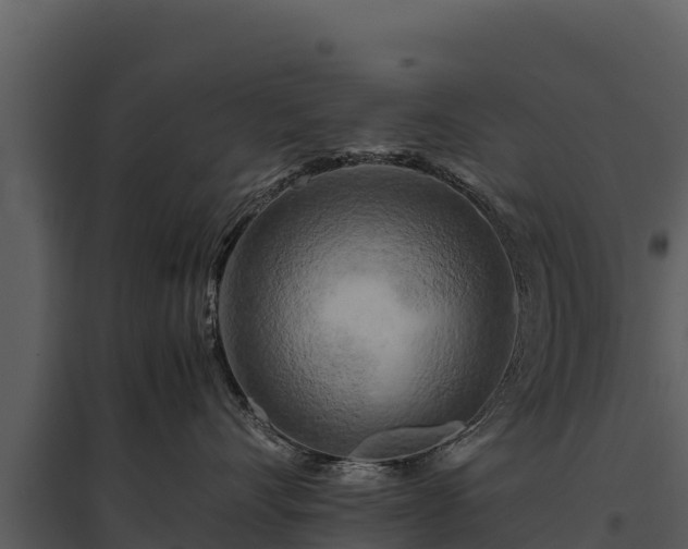 X0000095690528200801151151