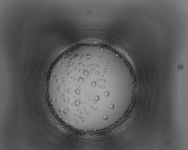 X0000095690529200801151150