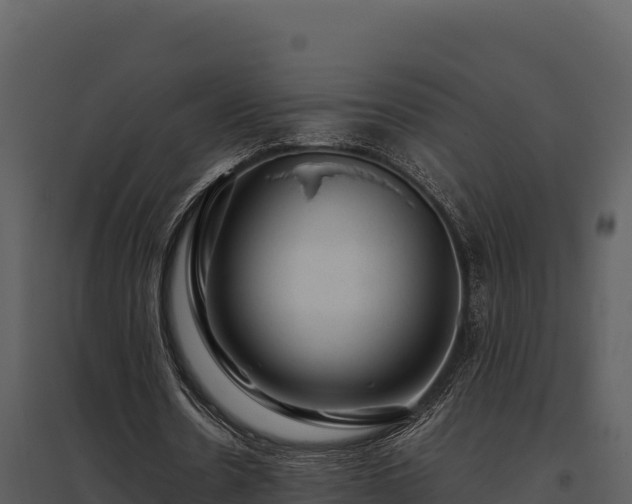 X0000095690530200801151150