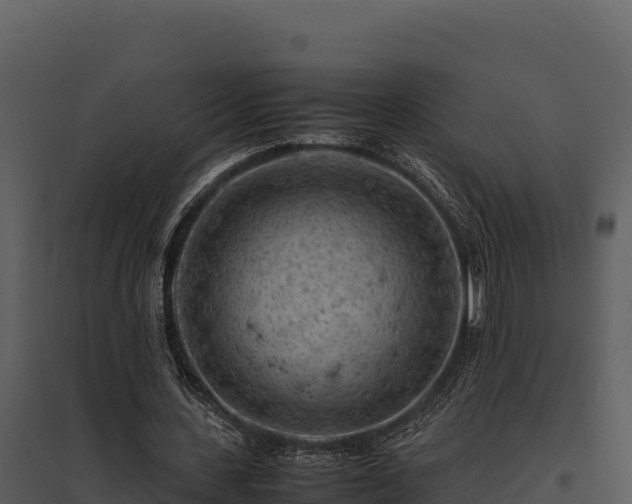 X0000095690531200801151150