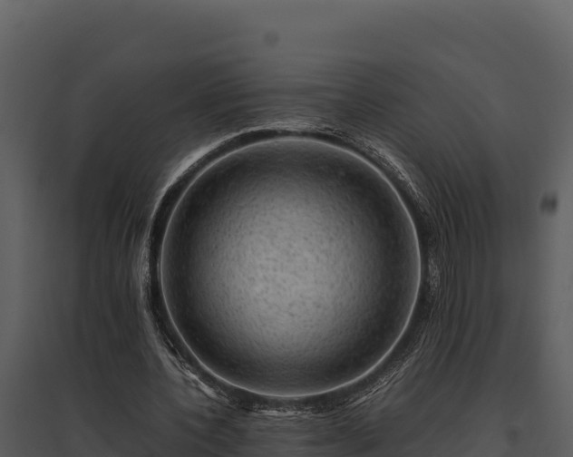 X0000095690532200801151150