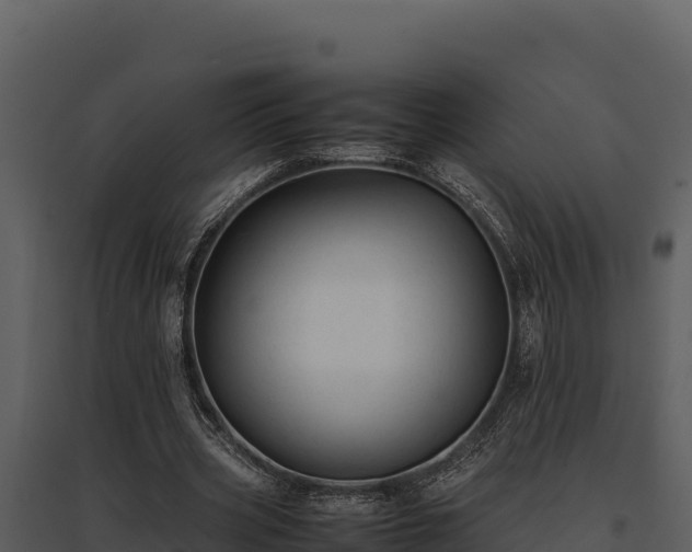 X0000095690533200801151150