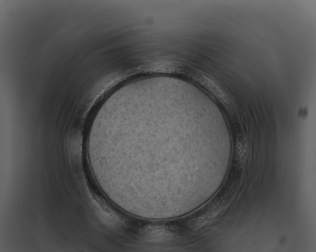 X0000095690534200801151150