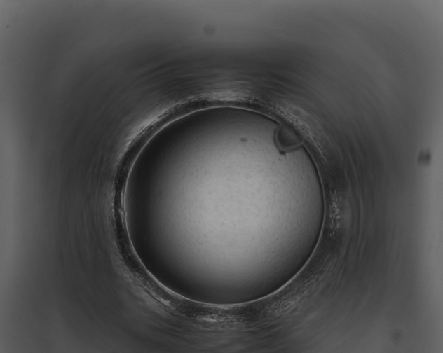 X0000095690535200801151150