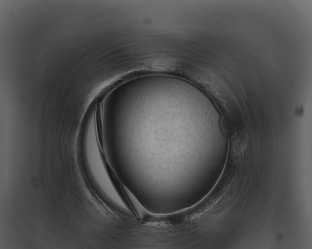 X0000095690536200801151150