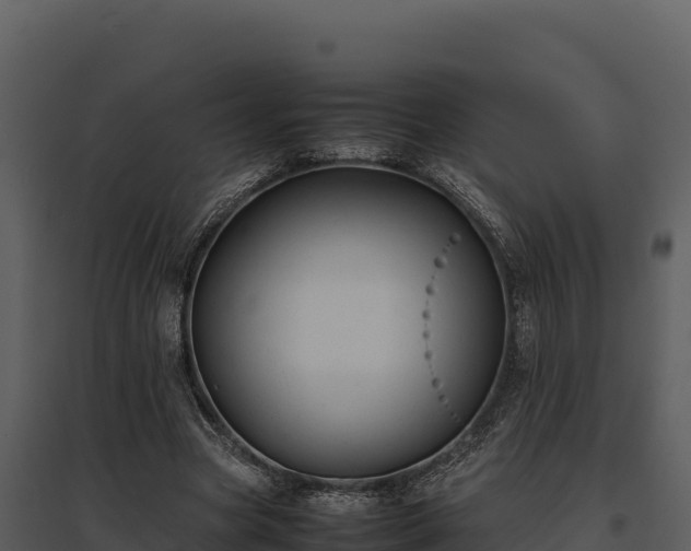 X0000095690537200801151150