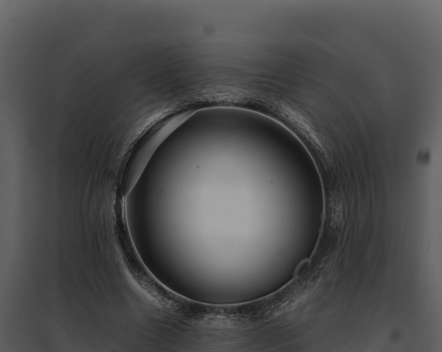 X0000095690538200801151150
