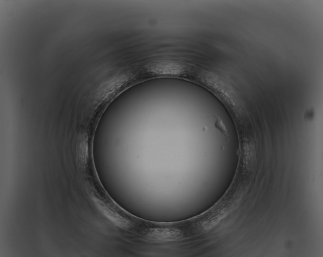 X0000095690541200801151150