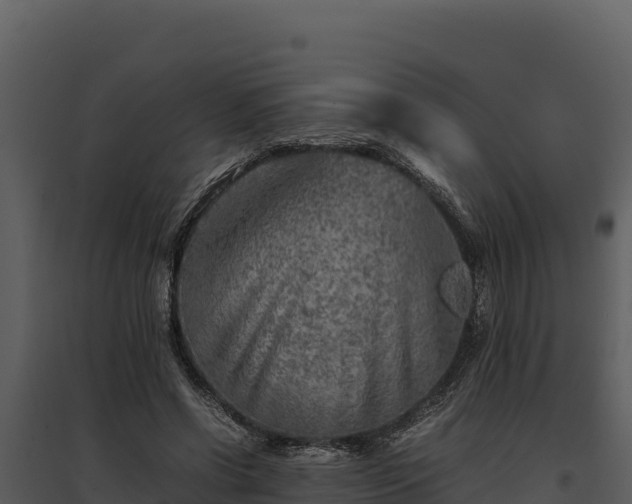 X0000095690542200801151150