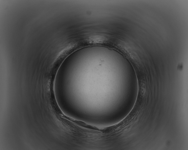 X0000095690543200801151150