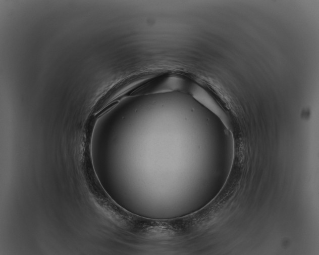 X0000095690544200801151150