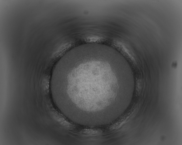 X0000095690545200801151150