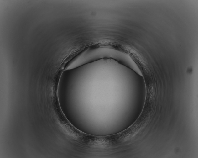 X0000095690546200801151151