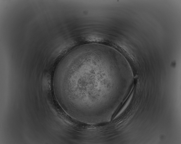 X0000095690547200801151151