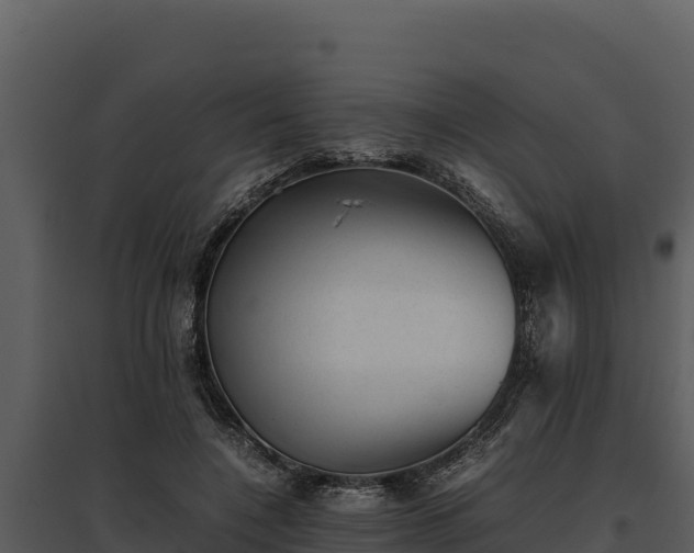 X0000095690548200801151151