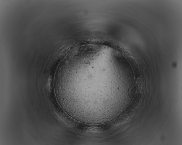 X0000095690550200801151151