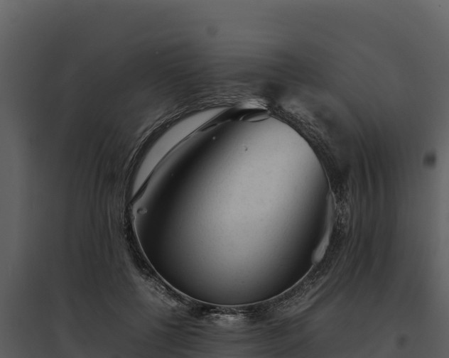 X0000095690552200801151151