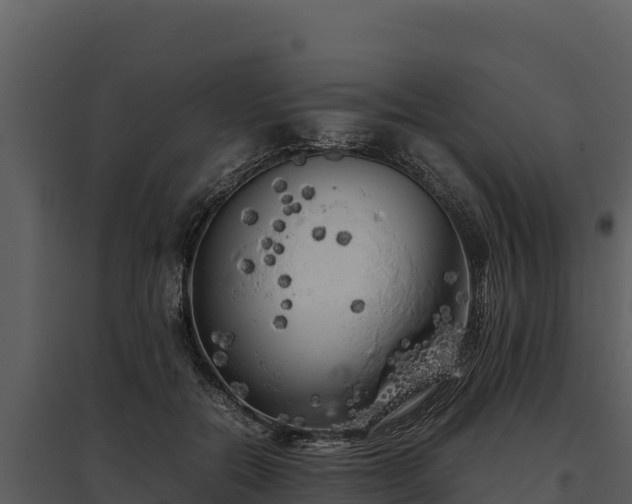 X0000095690554200801151151