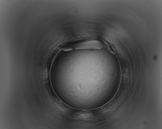 X0000095690555200801151151