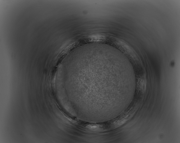 X0000095690557200801151151