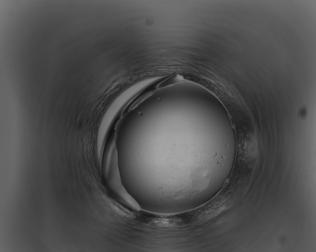 X0000095690558200801151151