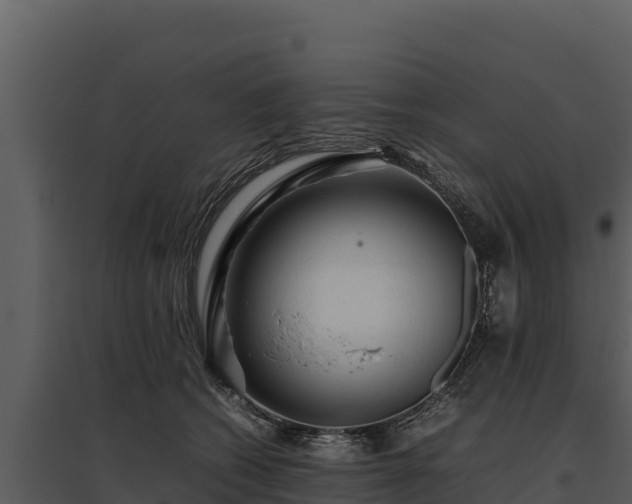 X0000095690562200801151151